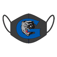 GeorgianCollege heart logo blue green Sticker