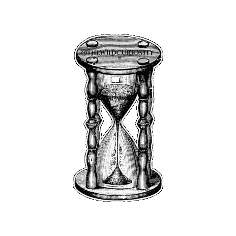 Times Up Vintage Sticker by The Wild Curiosity