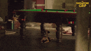 Dog Barking GIF by Mammoth Screen