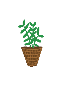 Plant Palm Sticker