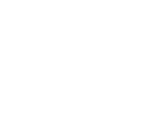 Ano Novo Sticker