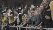 nku nkunorse GIF by Northern Kentucky University Athletics