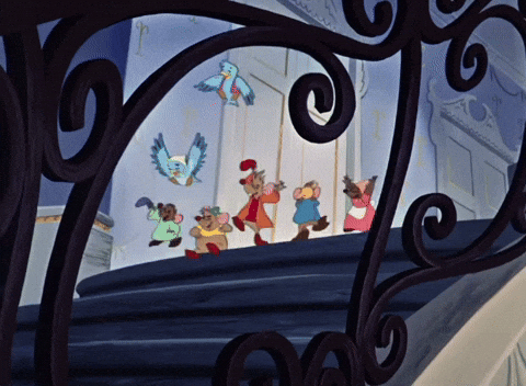 sunkissedskin happy cheering cinderella rejoicing GIF
