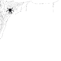 Halloween Web Sticker by Tactical