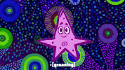 season 9 episode 23 GIF by SpongeBob SquarePants