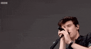 Shawn Mendes Big Weekend 2017 GIF by BBC Radio 1