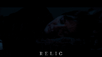 Film Festival Movie GIF by Signature Entertainment