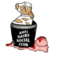 Ice Cream Vegan Sticker by ExtraFood