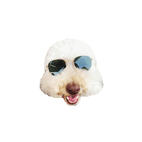 syddesignsocial friyay poodle happy dog sds Sticker