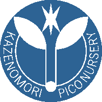 kazenomori 風の森 kazenomori Sticker