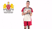 CaseySouthMelbourneCC swans csmcc caseysouthswans GIF