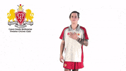 CaseySouthMelbourneCC swans csmcc caseysouthswans GIF