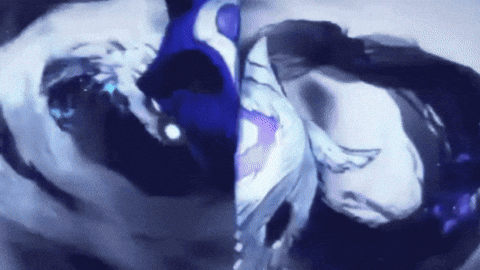 League Of Legends Wolf GIF