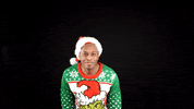 Merry Christmas Reaction GIF by Bernardson