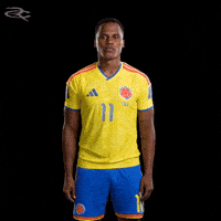 Fifa World Cup Colombia GIF by Respective