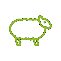 Sheep Lamb Sticker by Pinstone