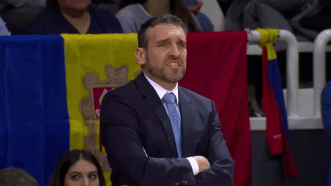 Liga Endesa Basketball GIF by ACB