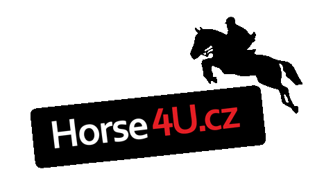 Horse4u giphyupload pferd cavallo horse4u Sticker