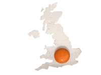 egg Sticker by The Eggshibit