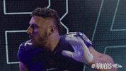Football Celebrate GIF by Baltimore Ravens