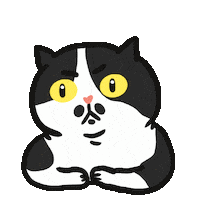 J9Zdoraxiu Sticker