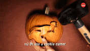 Jack O Lantern Halloween GIF by BuzzFeed