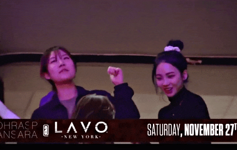 insight1 giphyupload GIF