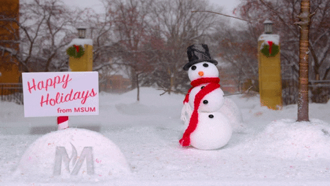 Waving Merry Christmas GIF by Minnesota State University Moorhead