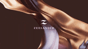 Zeelander  GIF