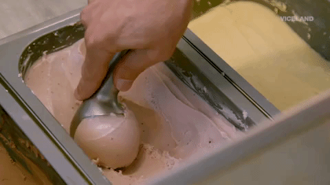 viceland GIF by THE ICE CREAM SHOW