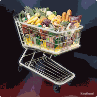 KauflandCesko shopping kaufland shoppingcart pricefever GIF