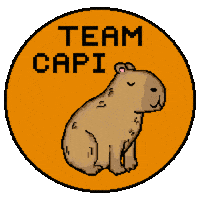 Teamcapi Sticker