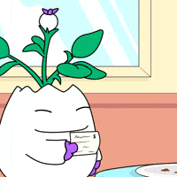 Night Out Shock GIF by Magic Eden