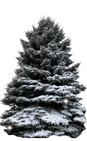 Christmas Tree Lights Sticker