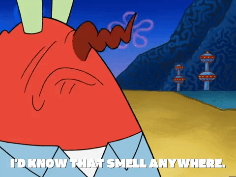 season 5 GIF by SpongeBob SquarePants