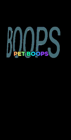 Maboophayph pets boop dogsofinsta maboophay GIF