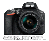 Nikoninstabadge D5600 Sticker by NikonIndia