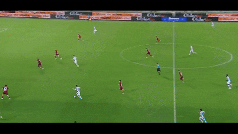 zgiorgos10 giphyupload GIF