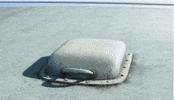 happy dog GIF by Disney Pixar