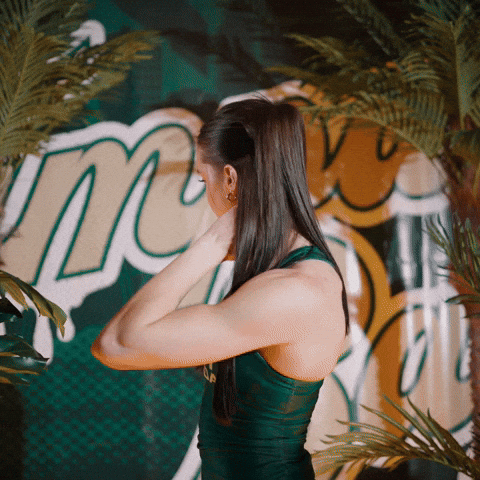 South Florida Horns Up GIF by USF Athletics