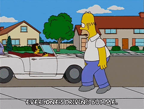 homer simpson GIF