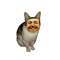 Directclicks directclicks amircat Sticker