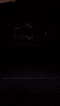 Kendama GIF by Sweets Kendamas