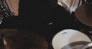 mergerecords cat modelo bob dylan titus GIF