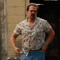strangerthings3 GIF by Netflix España