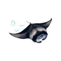 Water Ocean Sticker by Dive Butler International