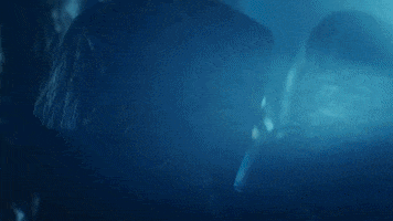 Dance Party GIF by Selena Gomez