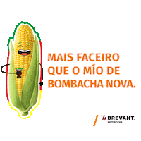 Gaucho Sticker by Brevant Sementes