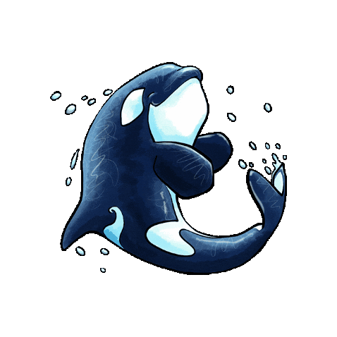 Happy Killer Whale Sticker