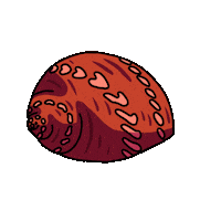 Fish Tank Love Sticker